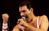 Hoy en la Historia Nace Freddie Mercury y fallece Francisco Toledo