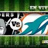 Dolphins Raiders