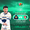 Pumas - Atlas